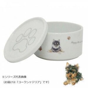 R X^bJ[SET() [NVeA wa-se100-S9 Ǝpi eEXgbJ[Ee