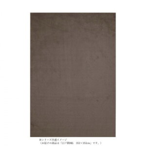 P-2000�@���@�\�J�[�y�b�g�@�R�ۖh�_�j���L�h���R�A�����Q���R�E�B���X���g�Ή� �u���E�� �]�ˊ�8���@352×352 �C���e���A �~���E�J�[�e��