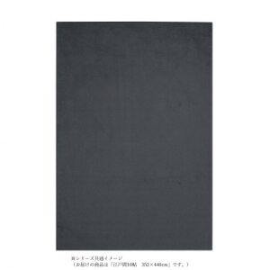P-2000�@���@�\�J�[�y�b�g�@�R�ۖh�_�j���L�h���R�A�����Q���R�E�B���X���g�Ή� �l�C�r�[�]�ˊ�10���@352×440 �C���e���A �~���E�J�[�e��