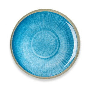 �A�{�[�h newWave �R�[�X�^�����A�N�e�B�u �f�B�i�[�v���[�g 27cm �u���[ DN26206087 �Ǝ��p�i �H��