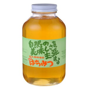 ؗ{I@݂͂(p)@AJVA(AK)@2.4kg yHi 
