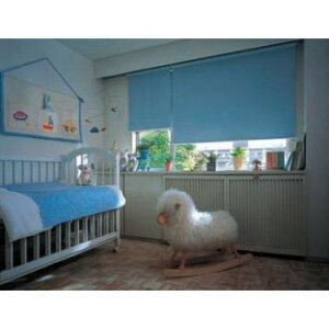 �^�`�J���@TIORIO�e�B�I���I�@���[���X�N���[���Ռ�2���h��135×220cm �C���e���A �~���E�J�[�e��