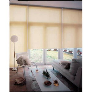 �^�`�J���@TIORIO�e�B�I���I�@���[���X�N���[�����n�h��180×220cm�@TR-3148�E�y�[���O���[�� �C���e���A �~���E�J�[�e��