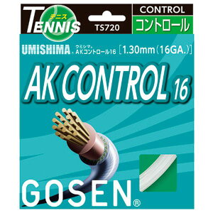 GOSEN�i�S�[�Z���j �E�~�V�} AK�R���g���[��16 TS720W