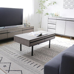 Z^[e[uiO[j 100cm [i/r̂ݎtnysz