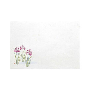 }R[ p Ɩp 5_a΂܂ lG Ҋ (100) yamaco65331