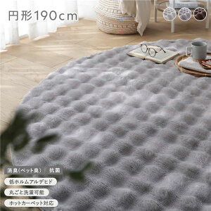 �ӂ�������O �~�`��190cm �O���[ �R�� ���L(�y�b�g�L) �􂦂郉�O �p�C�����O �E�H�b�V���u�� �~�� ����~�߉��H �z�b�g�J�[�y�b�g�Ή� ���g�[�Ή�