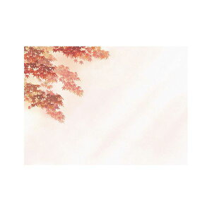 }R[ p Ɩp 3lGʂ܂ ԉ(͂Ȃ݂) Ԃ݂ (100) yamaco66457