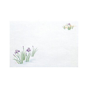 }R[ p Ɩp 3_a΂܂ ͒W Ԃ傤 (100) yamaco65202