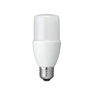 YAZAWA T`LED 100W` E26 F LDT13NG