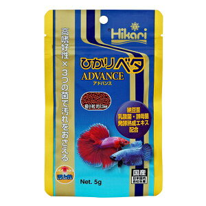 i܂Ƃ߁j Ђ x^ AhoX 5g y×5Zbgz Ϗ܋pt[hysz