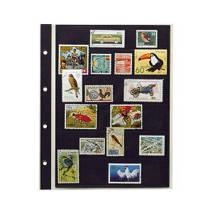 i܂Ƃ߁j e[W[ RNVAo XyA|Pbgi4j SB-306S 10 y×3Zbgz