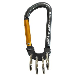 (�Ɩ��p50�Z�b�g) DT�A���~�J���r�i �L�[�����O�t��8mm �y�K�����^X�S�[���h�z DT-AKT-381