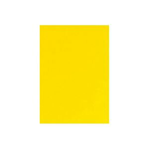 �i�܂Ƃ߁j �L�b�Y �J���[�H��p�� 20���� �������y×10�Z�b�g�z