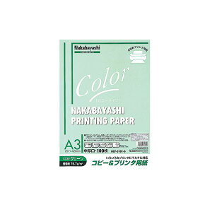 (ƖpZbg) Rs[v^p J[^Cv A3 100 HCP-3101-Gy×5Zbgz