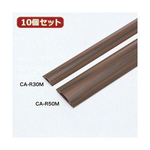 10Zbg TTvC P[uJo[iؖځj CA-R30MX10