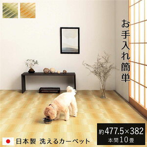 �􂦂� ���� �J�[�y�b�g �{��10�� ��477.5×382cm �x�[�W�� ���{�� ���Y ���ۃX�v���[�Ή� ��v �t���A�}�b�g ���O �}�b�g �~�� �A�E�g�h�A ���W���[ �y�b�g�y����s�z