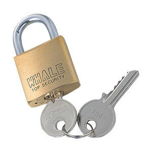 (܂Ƃ) TTvC eZLeB 싞 No.1 SLE-1L-1N 1 y×10Zbgz