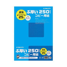 (まとめ）キョクトウ・アソシエイツ ぶ厚いコピー用紙 PPC250A4【×10セット】