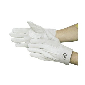 (܂Ƃ) xmO[u WXg  1611 1o y×5Zbgz