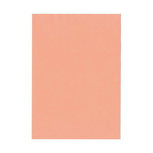 �k�z�R�[�|���[�V���� �I�B�̐F�㎿ A3 T�� ������ �T�[���� 1��(400���F100��×4��)