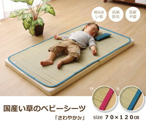 ���� �V�[�c �����V�[�c �x�r�[ �L�b�Y �W���j�A �Q���� �w����₩ �l�S�U�x ��70×120cm