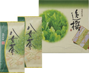 ܕzt{X l YRT-03 Mtg 蕨 v[g  Ε j