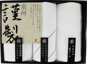 Bސӂ邳ƃMtg Bސ ^IZbg FGT-151 Mtg 蕨 v[g  Ε j