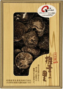 ő̗ 啪Yő R-20 Mtg 蕨 v[g  Ε j