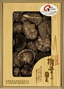 ő̗ 啪Yőǂ R-25 Mtg 蕨 v[g  Ε j