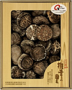 ő̗ 啪Yőǂ S-40 Mtg 蕨 v[g  Ε j