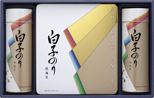 q̂ Cۋl SA-500 Mtg 蕨 v[g  Ε j