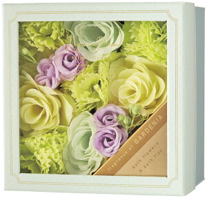 �f�C�Y�C���u���[�� �o�X�t�����[�M�t�g �K�[�f�j�A 12225002 �M�t�g ���蕨 �v���[���g ������ ���Ε� ���j��