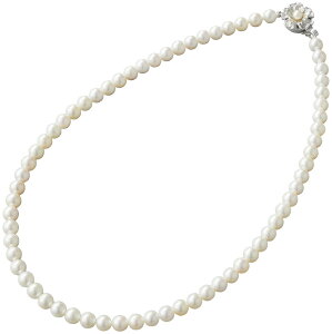 p[Ep[EREx AR{^lbNX NS6 Mtg 蕨 v[g  Ε j