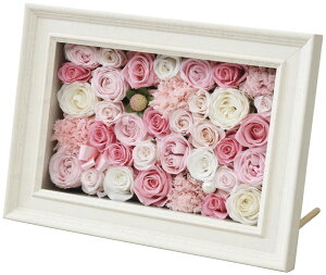 vUAWit[^Cvj H18-566P Mtg 蕨 v[g  Ε j