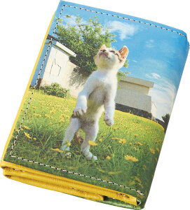 L ]̗L O܂RpNgz TW2151 Mtg 蕨 v[g  Ε j