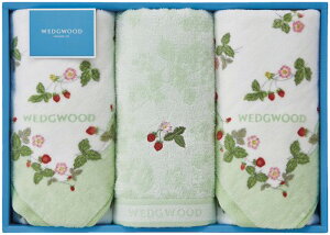 EFbWEbh ChXgx[ tFCX^I3P O[ TT84305646G Mtg 蕨 v[g  Ε j