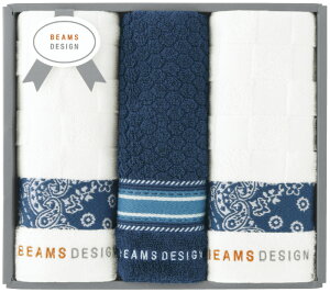 BEAMS DESIGN `FbJ[o_i tFCX^I2P^InJ` lCr[u[ 51-3139250NB Mtg 蕨 v[g  Ε j