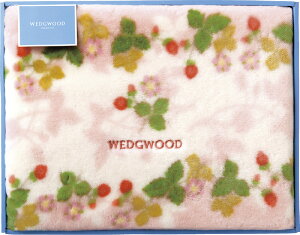 EFbWEbh ChXgx[ ANj[}C[ѕziщHj sN FQ88100051P Mtg 蕨 v[g  Ε j