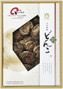 ő 啪Yőǂ IM-20 Mtg 蕨 v[g  Ε j