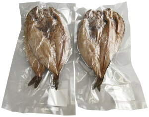 kCY^قJ 430209 Mtg 蕨 v[g  Ε j