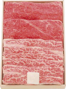 ㋍EfoĂp UBS40-MA Mtg 蕨 v[g  Ε j