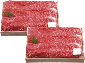 琬 ߍ]Ă SNT-909 Mtg 蕨 v[g  Ε j