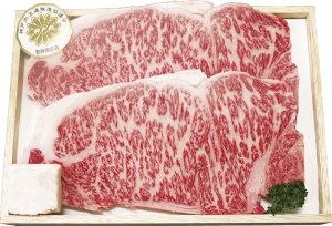 _˃r[tT[CXe[L 9113102 Mtg 蕨 v[g  Ε j