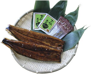 lElΎYȂāiĂ2j 2025KMJ01 Mtg 蕨 v[g  Ε j