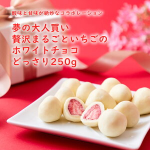 _ƊÖ▭ȃR{[V!!̑lґ܂邲Ƃ̃zCg`Rǂ250g t[YhĈZȃzCg`R[gł݂܂BÎ_ς