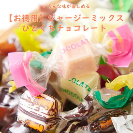 いろんな味が楽しめる!!【お徳用】ジャージーミックスひとくちチョコレート300g 蒜山高原のジャージーバターを使用したこだわりのチョコレート。たっぷり300g入りでお届けします。