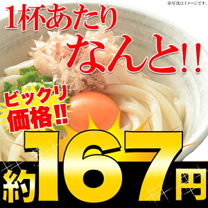 【ゆうパケット出荷】鎌田醤油特製ダシ醤油6袋付き!!讃岐うどん6食分600g(300g×2袋) つるっ!!しこっ!!メチャ旨!!本場香川の讃岐うどんが1杯約167円!!送料込みのたったの1000円で6食分も!!
