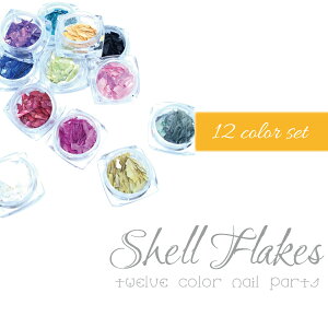 �ɔ����V�R�L�V�F��12�F�Z�b�g �l�C���p�[�c ���^���p�[�c �l�C���p�i Nail parts �X�g�[��