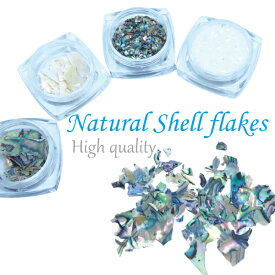 高品質 ナチュラルシェルフレーク　4種類 シェルパーツ　自然貝 ネイルパーツ メタルパーツ ネイル用品 Nail parts ストーン